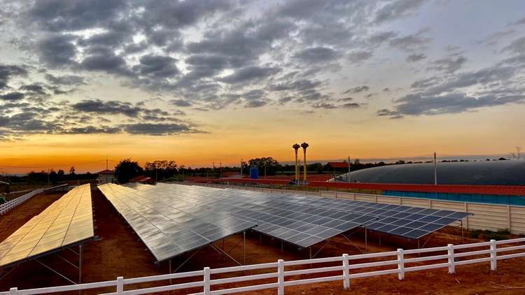 CPF solar cell